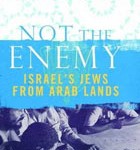 Cover of Rachel Shabi's Not the Enemy