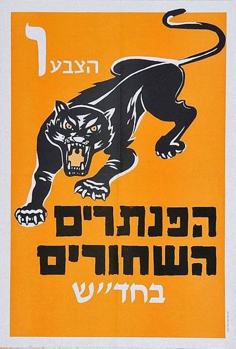 The Israeli Black Panthers focused on class issues, not nationalism, and believed that Israel's marginalised Mizrahim and Palestinian citizens were natural allies.